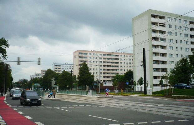 10gesch Schilfbreite 2013 k