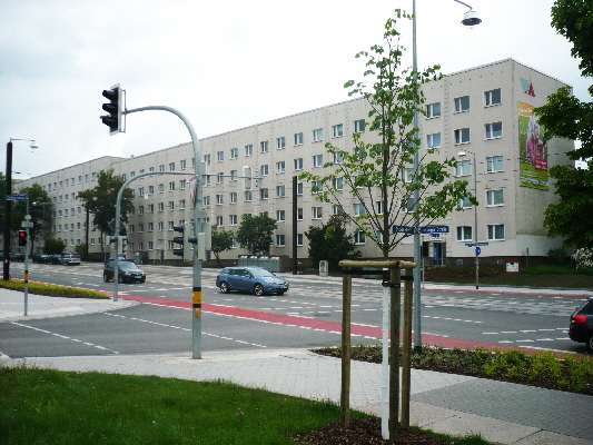 P2 Schilfbreite 2013